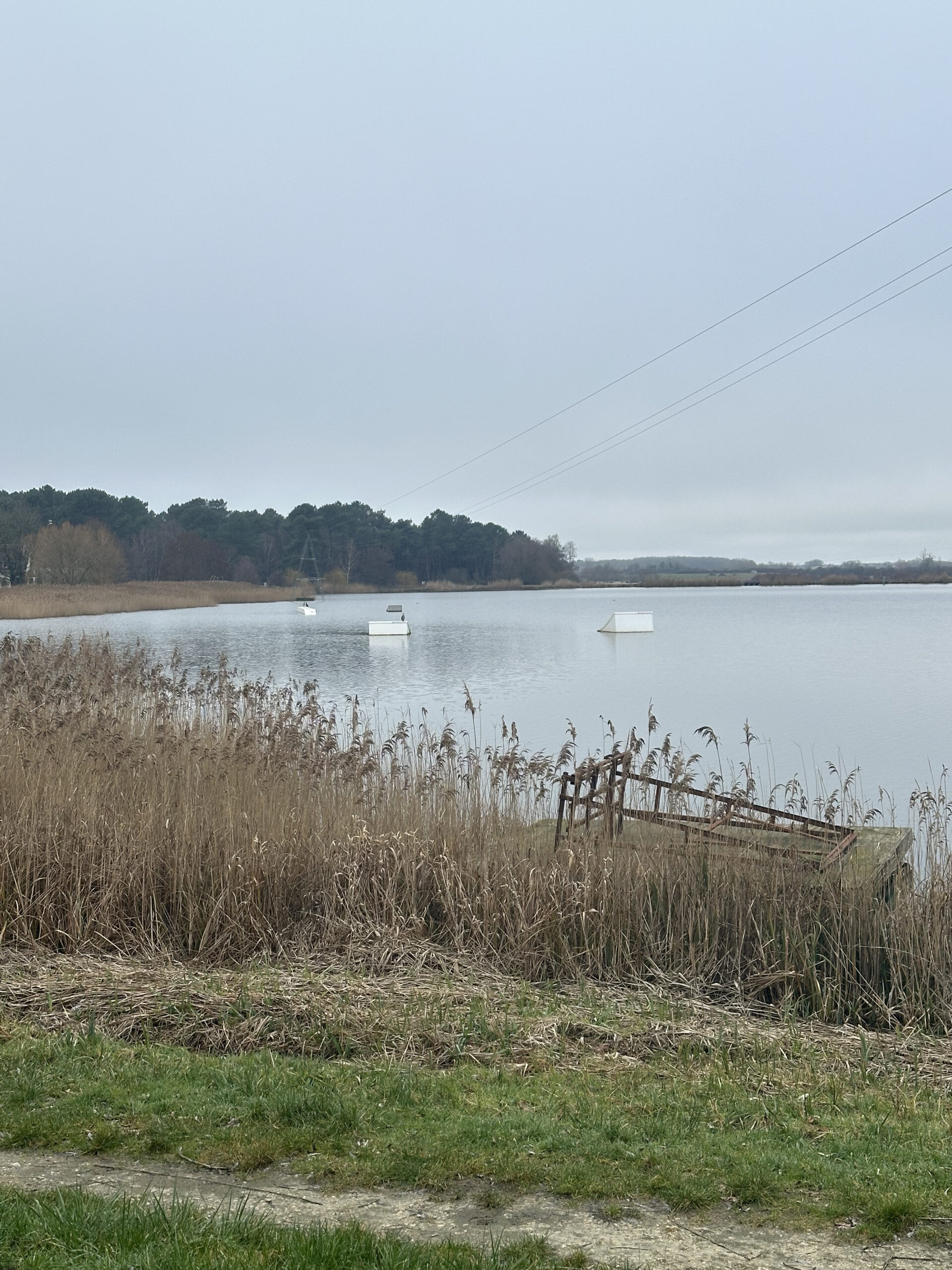 Lac de Rillé depuis le domaine