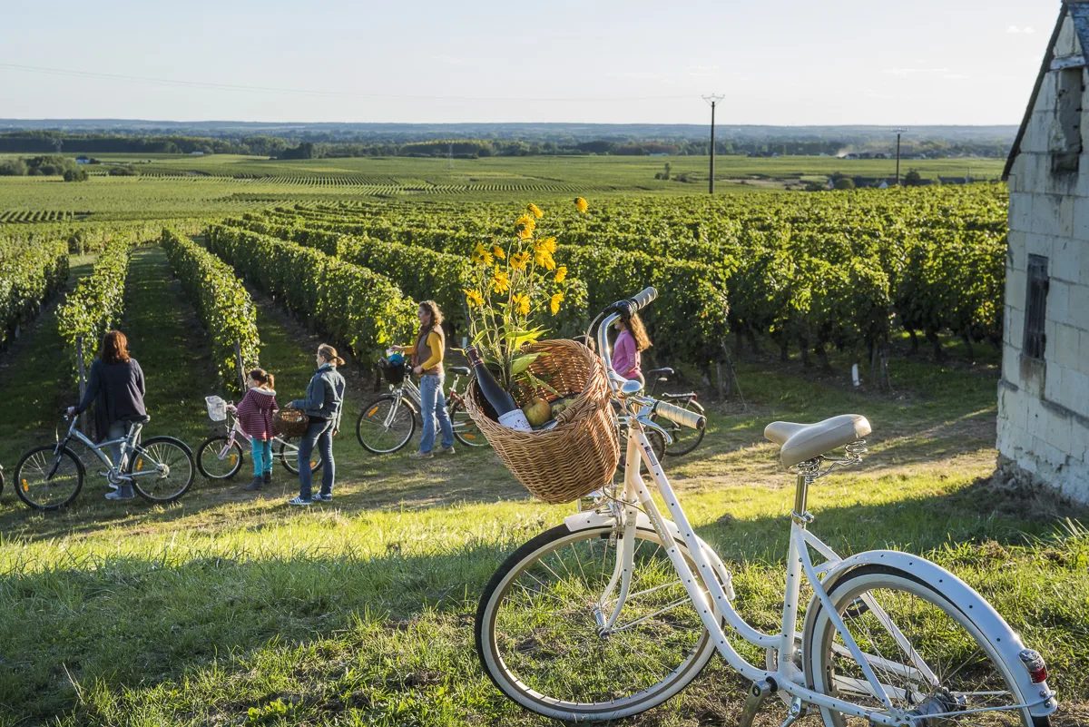 Balade à vélo dans les vignobles de Saint-Nicolas-de-Bourgueil